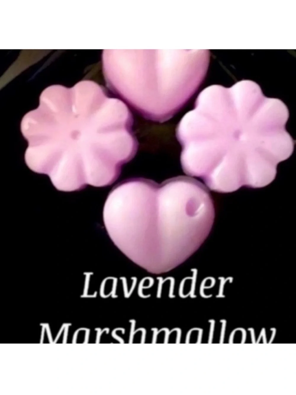 Bath and Body Works Candle Wax Melt Set